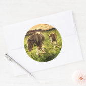 Mutter & Foal Pferd Runder Aufkleber (Umschlag)