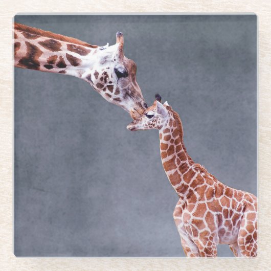 Mutter Getty Bild-| u. Baby-Giraffe Glasuntersetzer (Vorderseite)