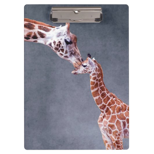 Mutter Getty Bild-| u. Baby-Giraffe Klemmbrett (Vorderseite)