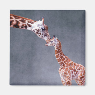 Mutter Getty Bild-  u. Baby-Giraffe Magnet