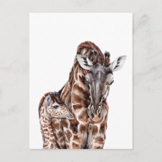 Mutter Giraffe mit Baby Giraffe Postkarte