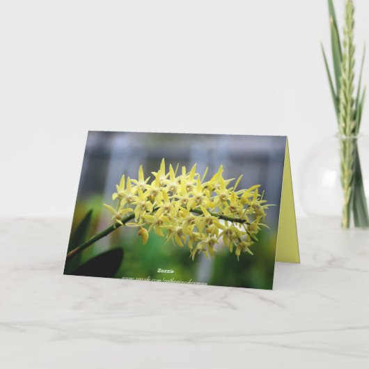 Mutter-glückliche 80. karte (Rückseite)