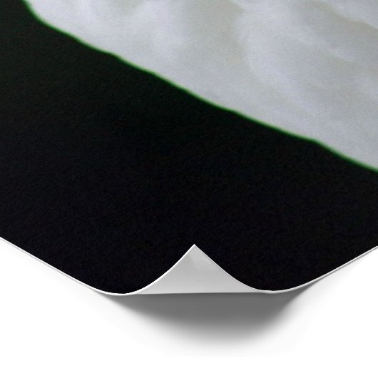 Mutter Goose Poster (Ecke)