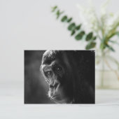 Mutter Gorilla Postcard Postkarte (Stehend Vorderseite)