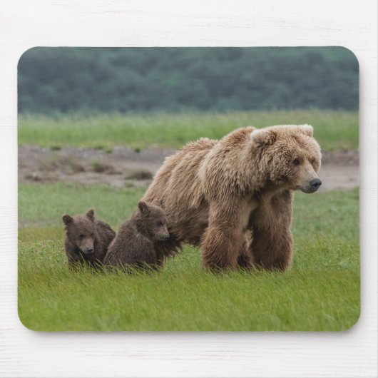 Mutter Grizzly Bär mit Twin Cubs Mousepad (Vorne)