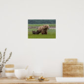 Mutter Grizzly Bär mit Twin Cubs Poster (Küche)