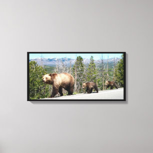Mutter Grizzy, Cubs im Yellowstone Nationalpark Leinwanddruck