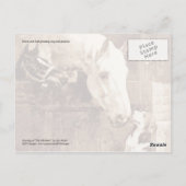 Mütter grüßen einander postkarte (Rückseite)