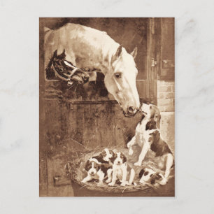 Mütter grüßen einander postkarte