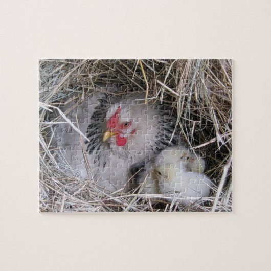 Mutter Hen mit neuen Chicks Puzzle (Horizontal)