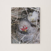 Mutter Hen mit neuen Chicks Puzzle (Vertikal)