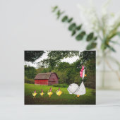 Mutter Hen Postcard Postkarte (Stehend Vorderseite)