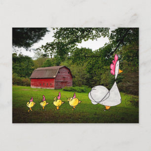 Mutter Hen Postcard Postkarte