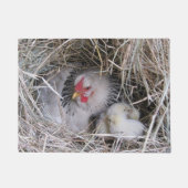 Mutter-Henne mit neuen Küken Fußmatte (Vorderseite)