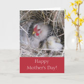 Mutter Henne mit New Chicks Grußkarte Karte (Gelbe Blume)