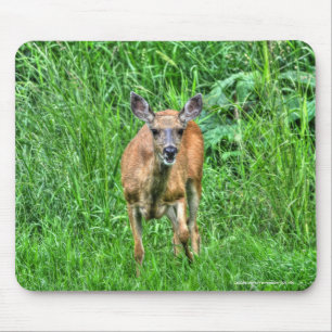 Mutter Hirsche auf Ranch Wildlife Foto Mousepad