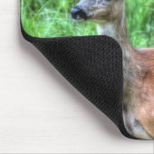 Mutter Hirsche auf Ranch Wildlife Foto Mousepad (Ecke)