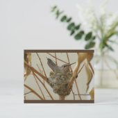 Mutter Hummingbird | Blue Beach Song™ Postkarte (Stehend Vorderseite)