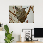 Mutter Hummingbird Poster (Heimbüro)