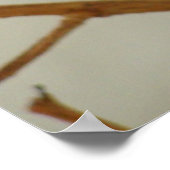 Mutter Hummingbird - Print/Poster Poster (Ecke)