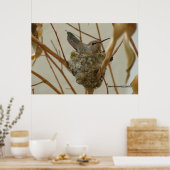Mutter Hummingbird - Print/Poster Poster (Küche)
