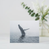 Mutter Humpback Whale Einladungspostkarte (Stehend Vorderseite)