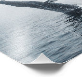 Mutter Humpback Whale Fotodruck (Ecke)