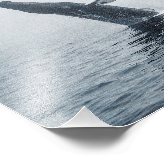 Mutter Humpback Whale Fotodruck (Ecke)
