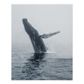Mutter Humpback Whale Poster (Vorderseite)