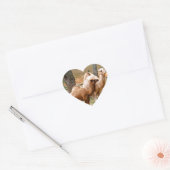 Mutter Kamel und Baby Animal Foto Desaster Animal Herz-Aufkleber (Umschlag)