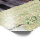 Mutter Kangaroo mit Baby Joey in ihrem Beutel Fotodruck (Ecke)