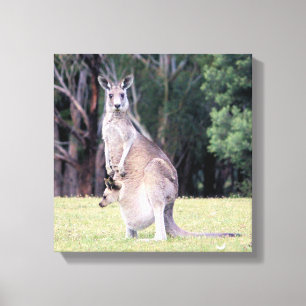 Mutter Kangaroo mit Baby Joey in ihrem Beutel Leinwanddruck