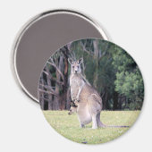 Mutter Kangaroo mit Baby Joey in ihrem Beutel Magnet (Vorderseite/Rückseite)