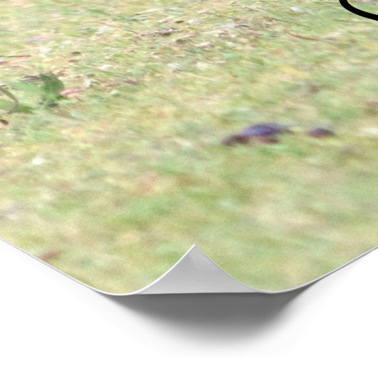 Mutter Kangaroo mit Baby Joey in ihrem Beutel Poster (Ecke)