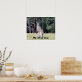 Mutter Kangaroo mit Baby Joey in ihrem Beutel Poster (Küche)