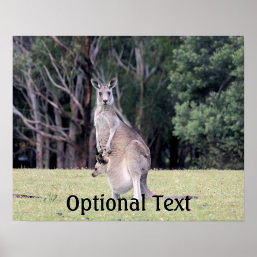 Mutter Kangaroo mit Baby Joey in ihrem Beutel Poster (Vorne)