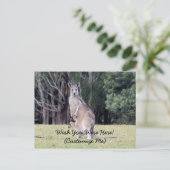 Mutter Kangaroo mit Baby Joey in ihrem Beutel Postkarte (Stehend Vorderseite)
