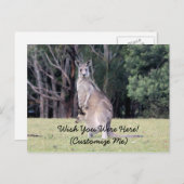 Mutter Kangaroo mit Baby Joey in ihrem Beutel Postkarte (Vorne/Hinten)