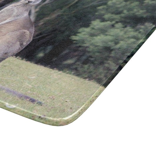 Mutter-Känguru mit Baby Joey in ihrem Beutel Schneidebrett (Ecke)