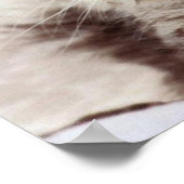 Mutter Katze & Kitten Poster (Ecke)