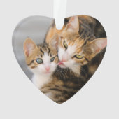 Mutter Katze Lieben Niedlich Kätzchen Acrylschmuck Ornament (Rückseite)