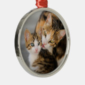 Mutter Katze Lieben Niedlich Kitten Foto - Silbernes Ornament (Rechts)
