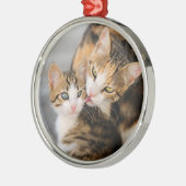 Mutter Katze Lieben Niedlich Kitten Foto - Silbernes Ornament (Links)