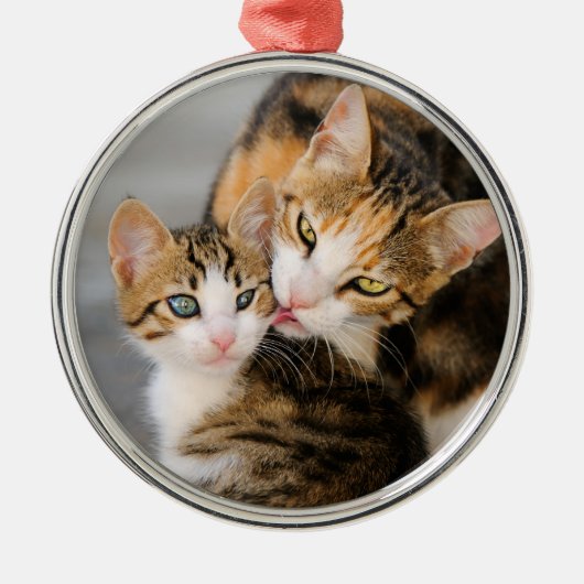 Mutter Katze Lieben Niedlich Kitten Foto - Silbernes Ornament (Vorne)