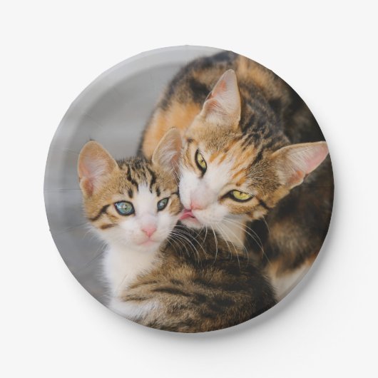 Mutter Katze Lieben Niedlich Kitten, Party Pappteller (Vorderseite)