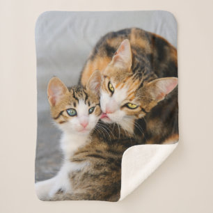 Mutter Katzen Lieben Niedlich Baby Kitten Tier Fot Sherpadecke