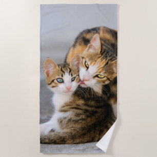 Mutter Katzen Lieben Niedlich Baby Kitten Tier Fot Strandtuch