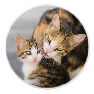 Mutter Katzen Lieben Niedlich Kitten Keramikknauf