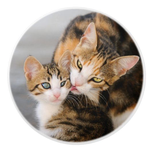 Mutter Katzen Lieben Niedlich Kitten Keramikknauf (Vorderseite)