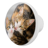 Mutter Katzen Lieben Niedlich Kitten Keramikknauf (Rechts)